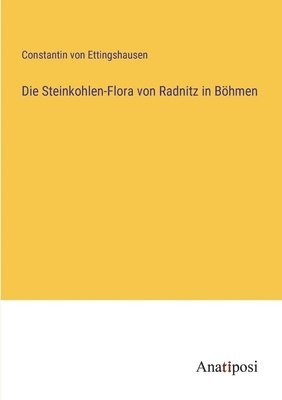 bokomslag Die Steinkohlen-Flora von Radnitz in Bhmen