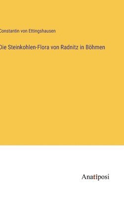 Steinkohlen-Flora von Radnitz in Böhmen