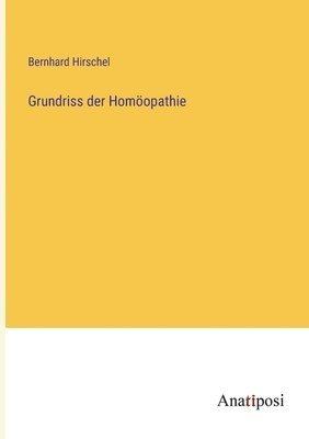 bokomslag Grundriss der Homöopathie