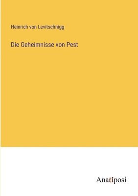 bokomslag Geheimnisse von Pest