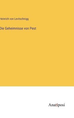 bokomslag Geheimnisse von Pest