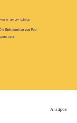bokomslag Geheimnisse von Pest