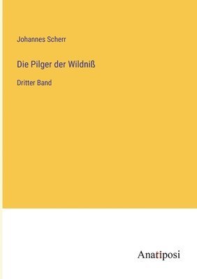 bokomslag Pilger der Wildniß