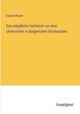 Eduard Brauer - mündliche Verfahren vor dem Unterrichter in bürgerlichen Streitsachen, Häftad