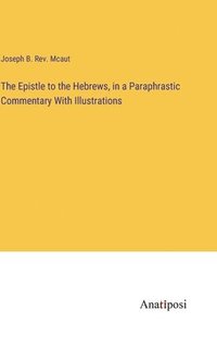 bokomslag Epistle to the Hebrews, in a Paraphrastic Commentary With Illustrations