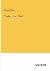 bokomslag Doctrine of God