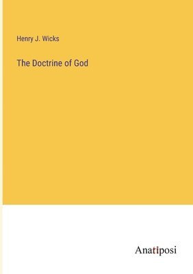 bokomslag The Doctrine of God