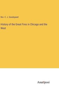 bokomslag History of the Great Fires in Chicago and the West