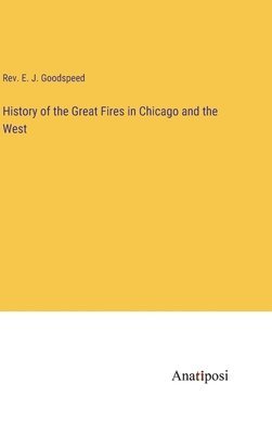 bokomslag History of the Great Fires in Chicago and the West