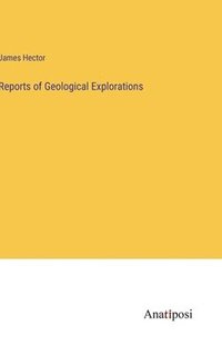 bokomslag Reports of Geological Explorations