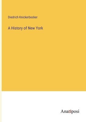 bokomslag A History of New York
