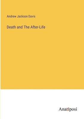 bokomslag Death and The After-Life