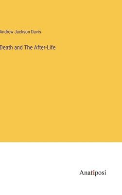 bokomslag Death and The After-Life