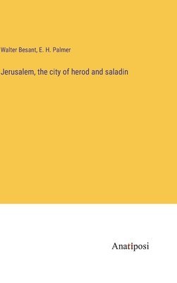 bokomslag Jerusalem, the city of herod and saladin