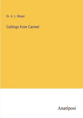 A L Mayer, A. L. Mayer, Dr. A. L. Mayer - Cullings from Carmel, Häftad