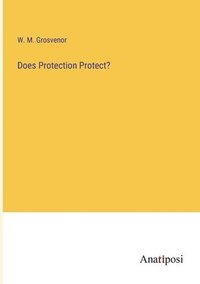 bokomslag Does Protection Protect?