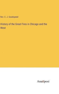 bokomslag History of the Great Fires in Chicago and the West