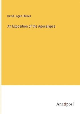 bokomslag Exposition of the Apocalypse