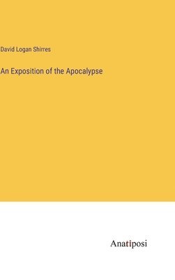 bokomslag Exposition of the Apocalypse