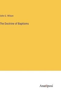 bokomslag The Doctrine of Baptisms