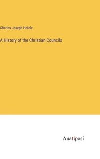 bokomslag A History of the Christian Councils
