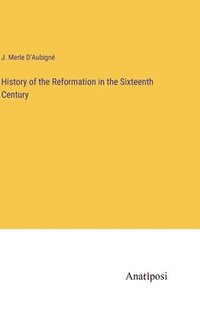 bokomslag History of the Reformation in the Sixteenth Century