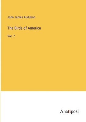 bokomslag Birds of America