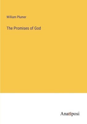 bokomslag The Promises of God