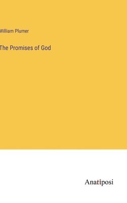 bokomslag The Promises of God