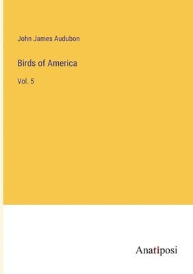 bokomslag Birds of America