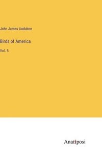 bokomslag Birds of America