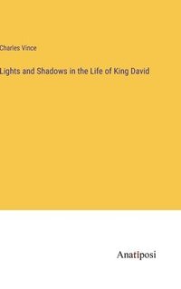 bokomslag Lights and Shadows in the Life of King David