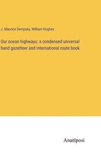 bokomslag Our ocean highways