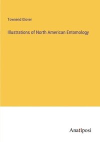 bokomslag Illustrations of North American Entomology