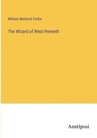 bokomslag Wizard of West Penwith