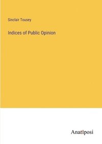 bokomslag Indices of Public Opinion