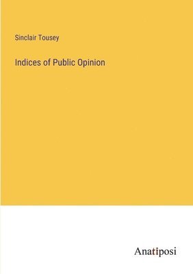bokomslag Indices of Public Opinion