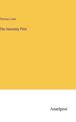 bokomslag Heavenly Pilot