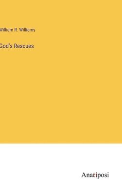 bokomslag God's Rescues