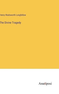 bokomslag Divine Tragedy