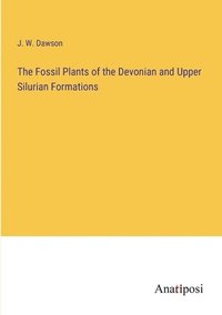 bokomslag The Fossil Plants of the Devonian and Upper Silurian Formations