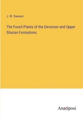 bokomslag The Fossil Plants of the Devonian and Upper Silurian Formations