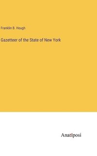 bokomslag Gazetteer of the State of New York