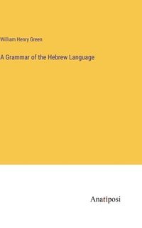 bokomslag A Grammar of the Hebrew Language