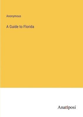 bokomslag Guide to Florida