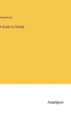 bokomslag Guide to Florida
