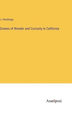Scenes of Wonder and Curiosity in California 1
