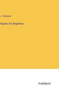 bokomslag Algebra for Beginners