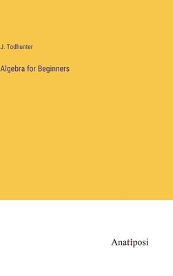 Algebra for Beginners 1