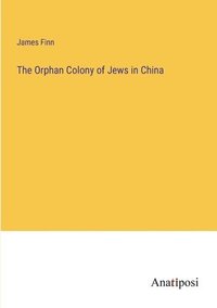 bokomslag The Orphan Colony of Jews in China